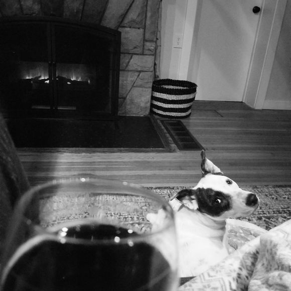 Meet your Posher, Ariell - Picture 1 of 1